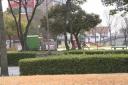 IMG_0050.JPG