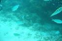 IMG_4097.JPG